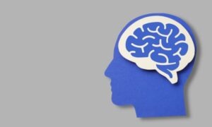 Conoce a qué llaman las neurociencias cerebro social en la guía con ejemplos