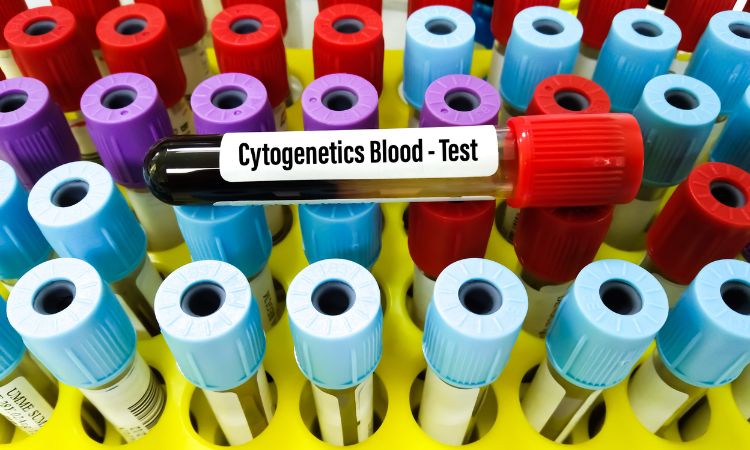 Conoce cuáles son los tipos de citogenética y para qué sirve