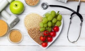 Conoce cuál es la función del aparato circulatorio en la nutrición