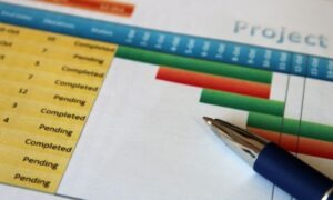 Conoce qué es la gestión de proyectos, ejemplos y características