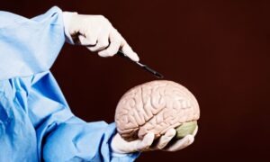 Descubre la linea del tiempo de la neurociencia, su historia, origen y evolución hasta el siglo XXI