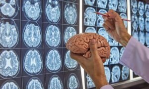 Conoce cuáles son los principios de la neurociencia